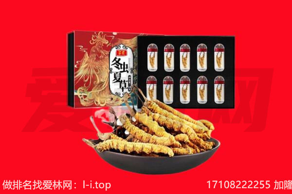 德宏州梁河县回收虫草.jpg